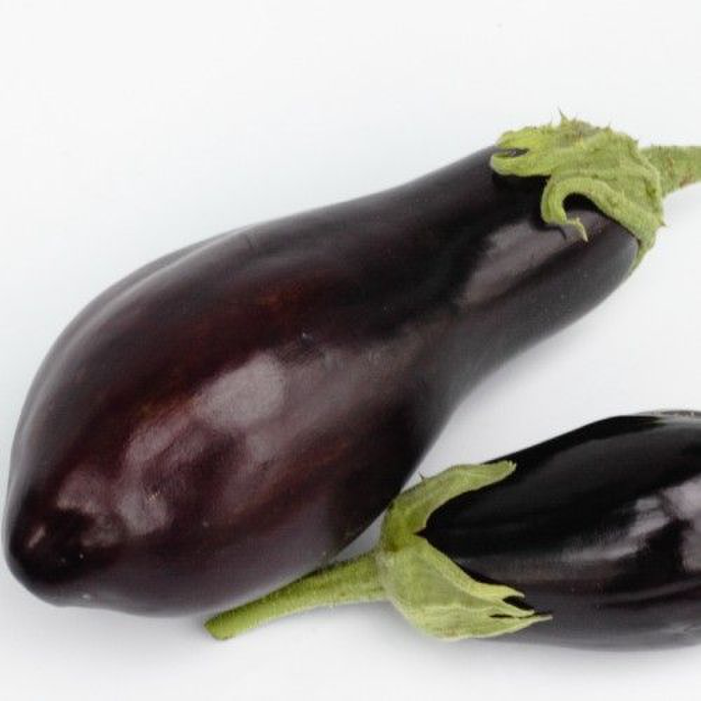 Eggplant/Aubergine Fabina F1